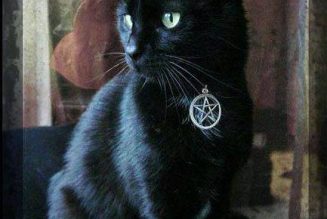 Black Cats Are the Familiars of Witches