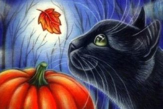 Black cat folklore, superstition, and mythology