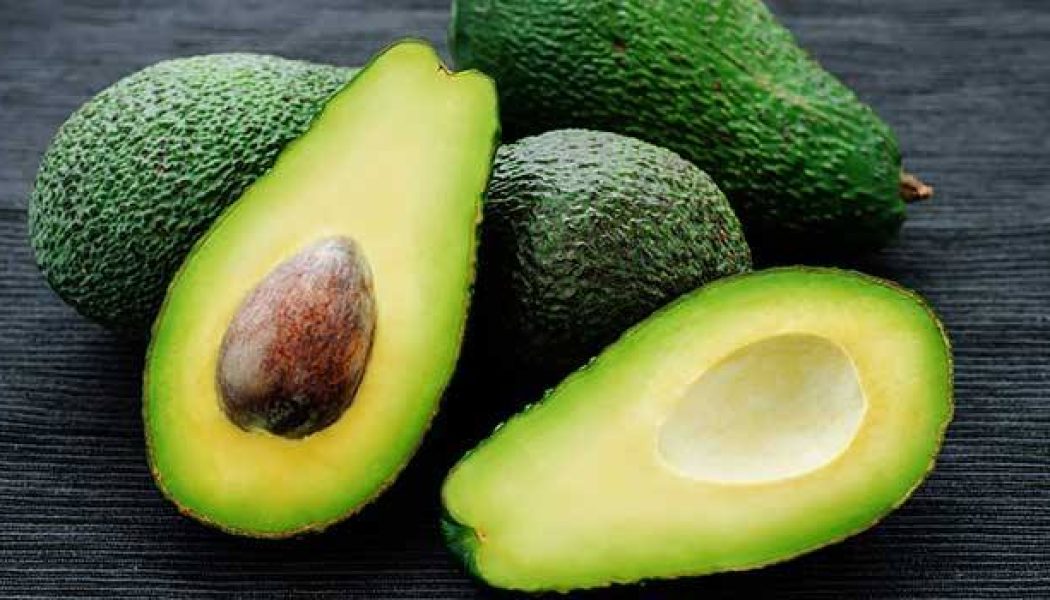 Avocado Fruit