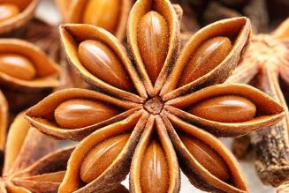 Anise Seed