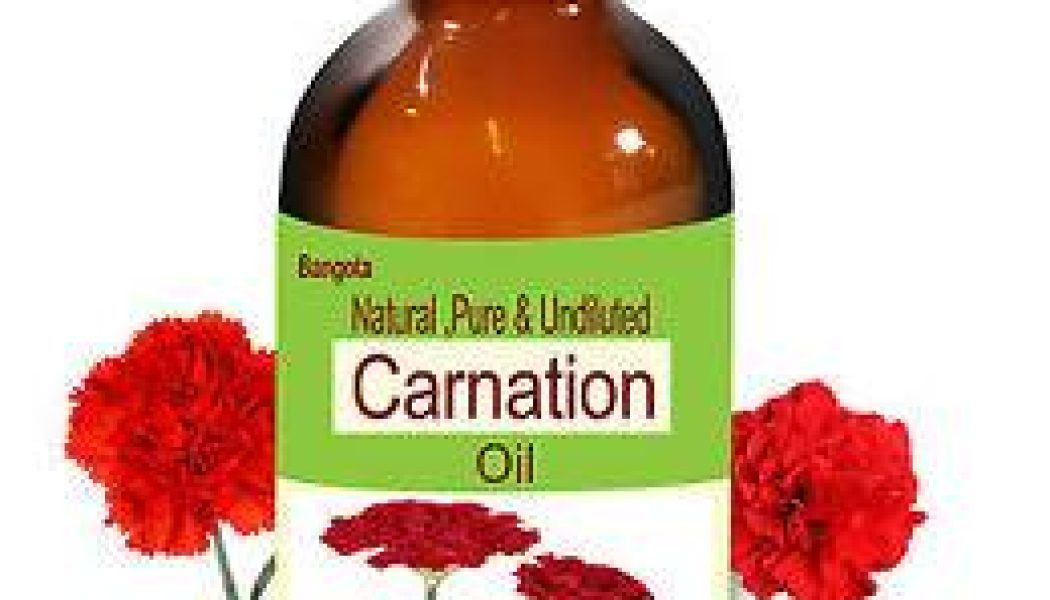 Carnation Oil