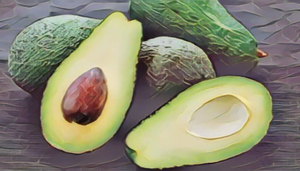 Avocado Fruit