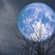 Super Blue Moon