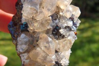 Golden calcite on sphalerite matrix~