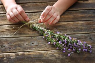 Rosemary