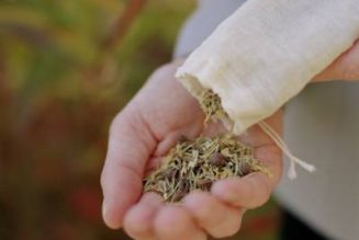 Herb Protection Pouch