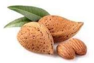 Almond (Prunus dulcis)