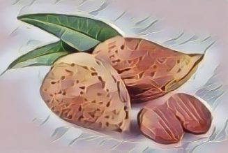 Almond (Prunus dulcis)