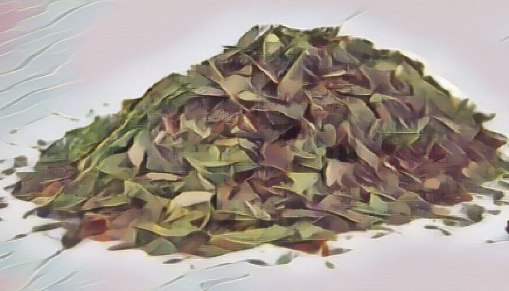 Basil- Herbs of the Kitchen Witch