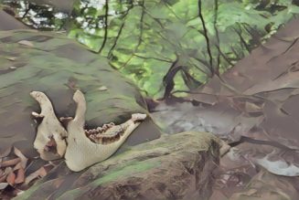 Blessing and Consecration for Found Bones or Other Natural Material