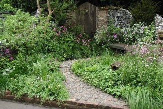 Creating a Garden Sanctuary