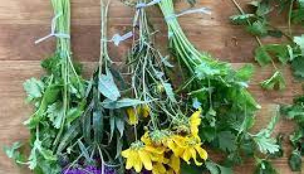 Kitchen Herbal Flowers