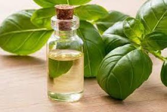 Essential Oil Benefits: Basil