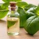 Essential Oil Benefits: Basil