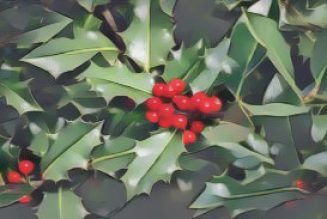 Holly: Herbs Associated with Dream Magick