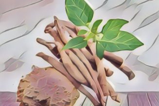 Ashwagandha, Seven Healing Herbs For Anxiety & Stress