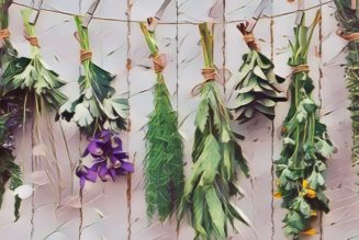 Collecting Herbs for Magical Workings, Harvesting.