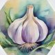 Medicinal Uses For Common Culinary Spices, GARLIC.