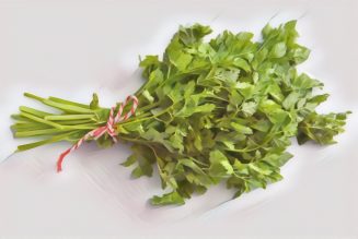 Medicinal Uses For Common Culinary Spices, CHERVIL.