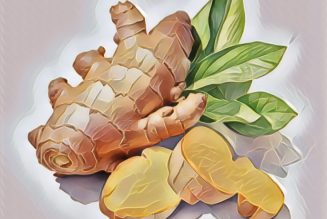 Medicinal Uses For Common Culinary Spices, GINGER.