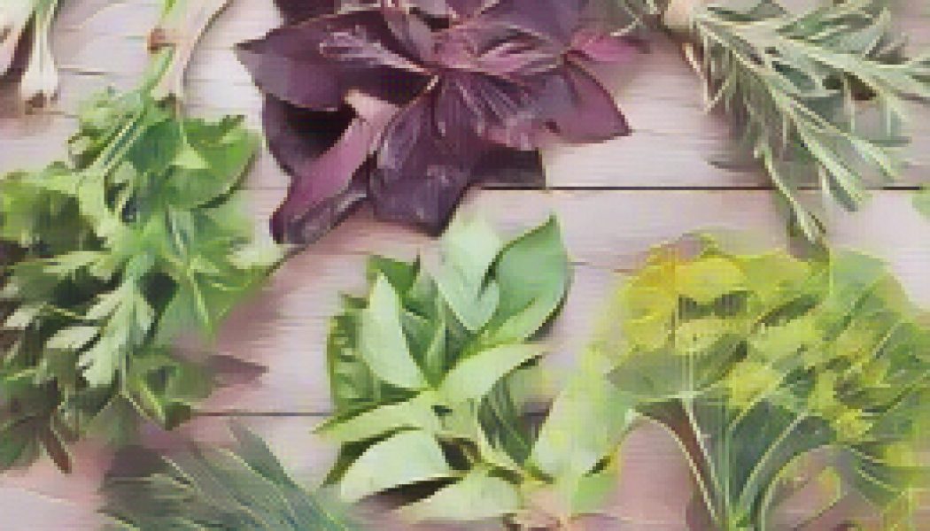 Herbs Listed by Medical Symptom W