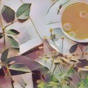 Ingredients for a Kitchen Witch: Tea – Courage